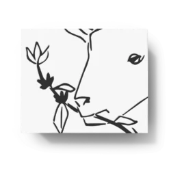 La Cabra Coffee Roasters Seasonal Coffees Cachoeira